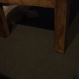 Meet your Posher, Greg